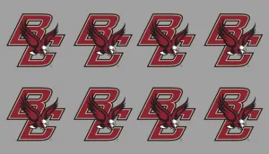 8 Piece Team Logo Officially Licensed Water Based Peel & Stick Temporary Spirit Tattoos