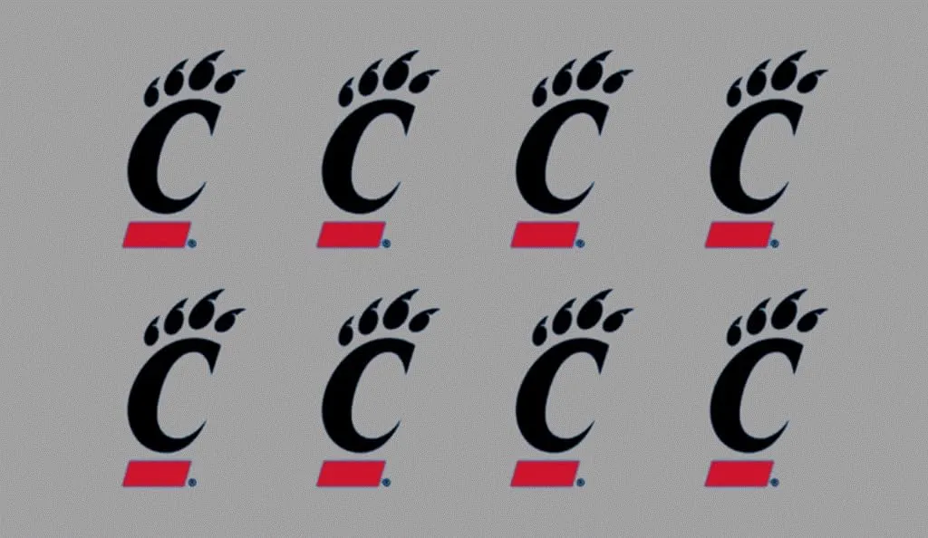 8 Piece Team Logo Officially Licensed Water Based Peel & Stick Temporary Spirit Tattoos