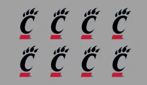 8 Piece Team Logo Officially Licensed Water Based Peel & Stick Temporary Spirit Tattoos