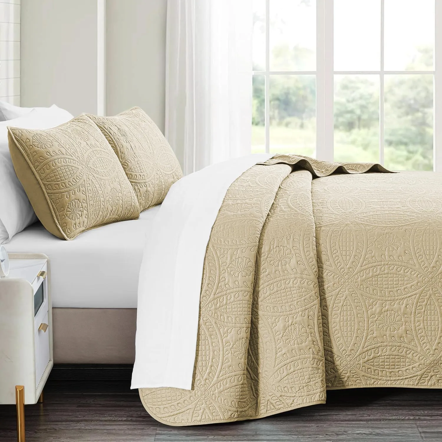 akkialla Queen Quilt Bedding Set,Beige Ultrasonic Full/Queen Quilt Set,Lightweight Soft Bedspread Coverlet,Modern Style Coin Pattern Bed Cover for All Seasons,3 Piece(1 Quilt,2 Pillow Shams)