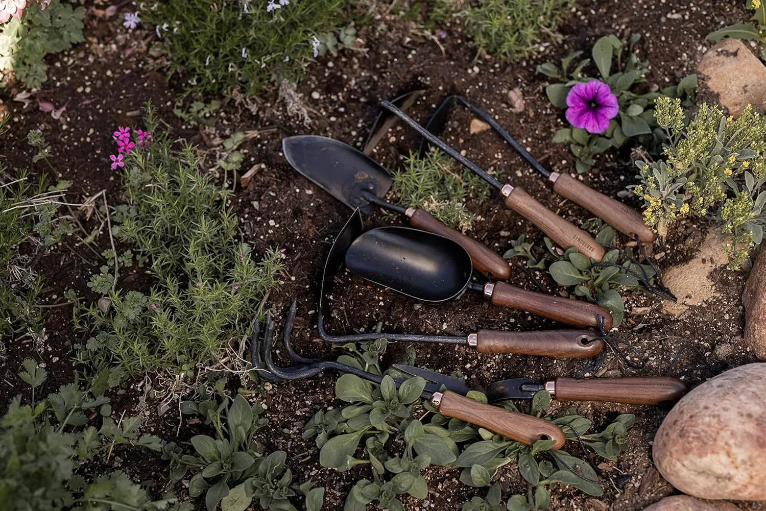 Barebones Garden Scoop - Garden Spoon - Stainless Steel Small Hand Shovel for Transplanting, Digging, and Planting - Great Home Gardening Hand Tools (Walnut/Black)