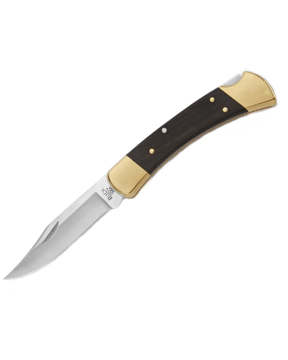 Buck Folding Hunter Knife