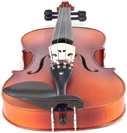 Cecilio CVA-500 Solidwood Ebony Fitted Viola, Size 12-Inch
