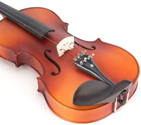 Cecilio CVA-500 Solidwood Ebony Fitted Viola, Size 12-Inch