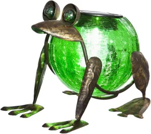 Evergreen Garden Quirky Solar Frog Lantern Outdoor Décor for Your Lawn and Garden