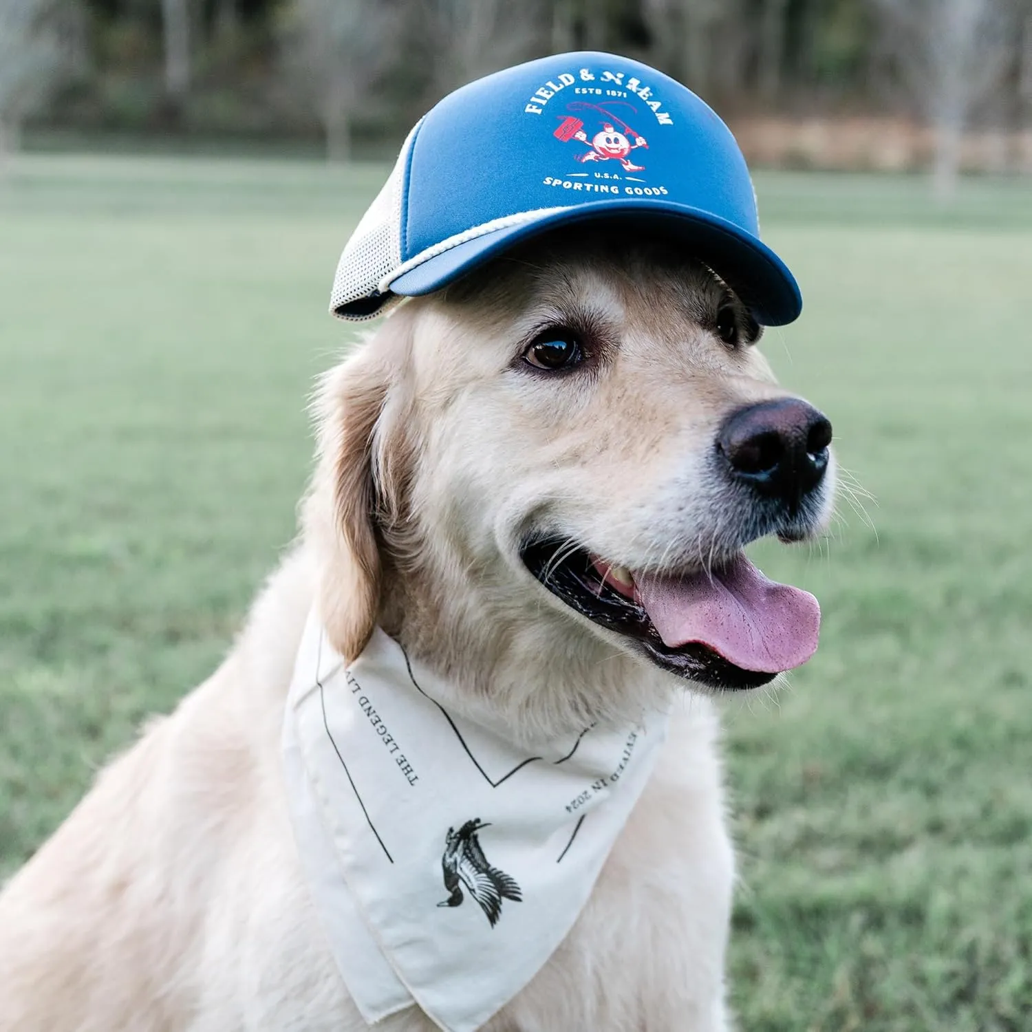 Field & Stream Snapback Trucker Hat, One Size