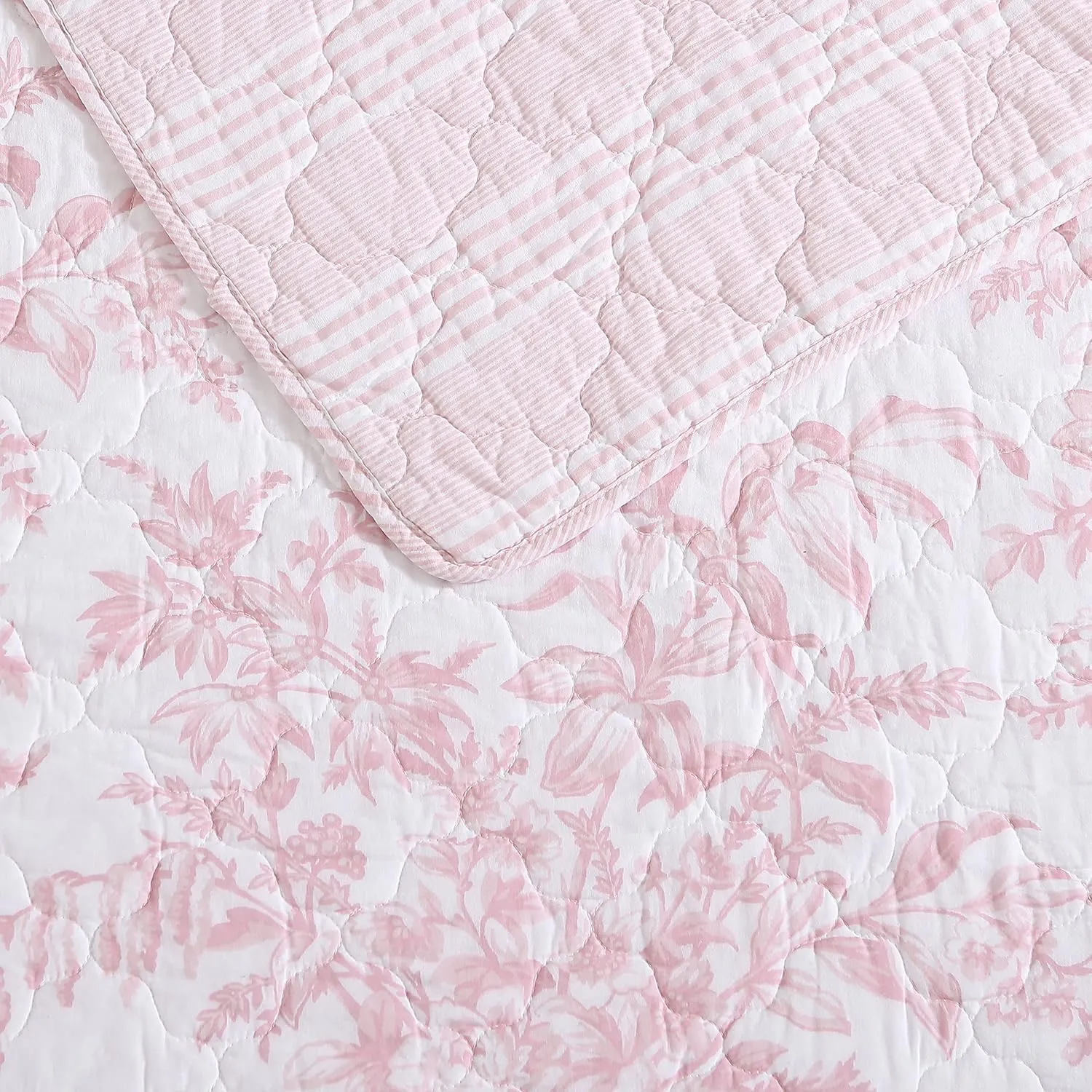 Laura Ashley - Queen Quilt Set, Reversible Cotton Bedding with Matching Shams, Lightweight Home Decor for All Seasons (Bedford Pink, Queen)
