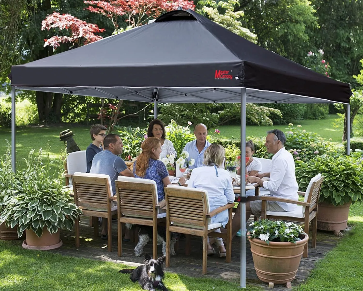 MASTERCANOPY Durable Pop-up Canopy Tent with Roller Bag (10x10, Black)