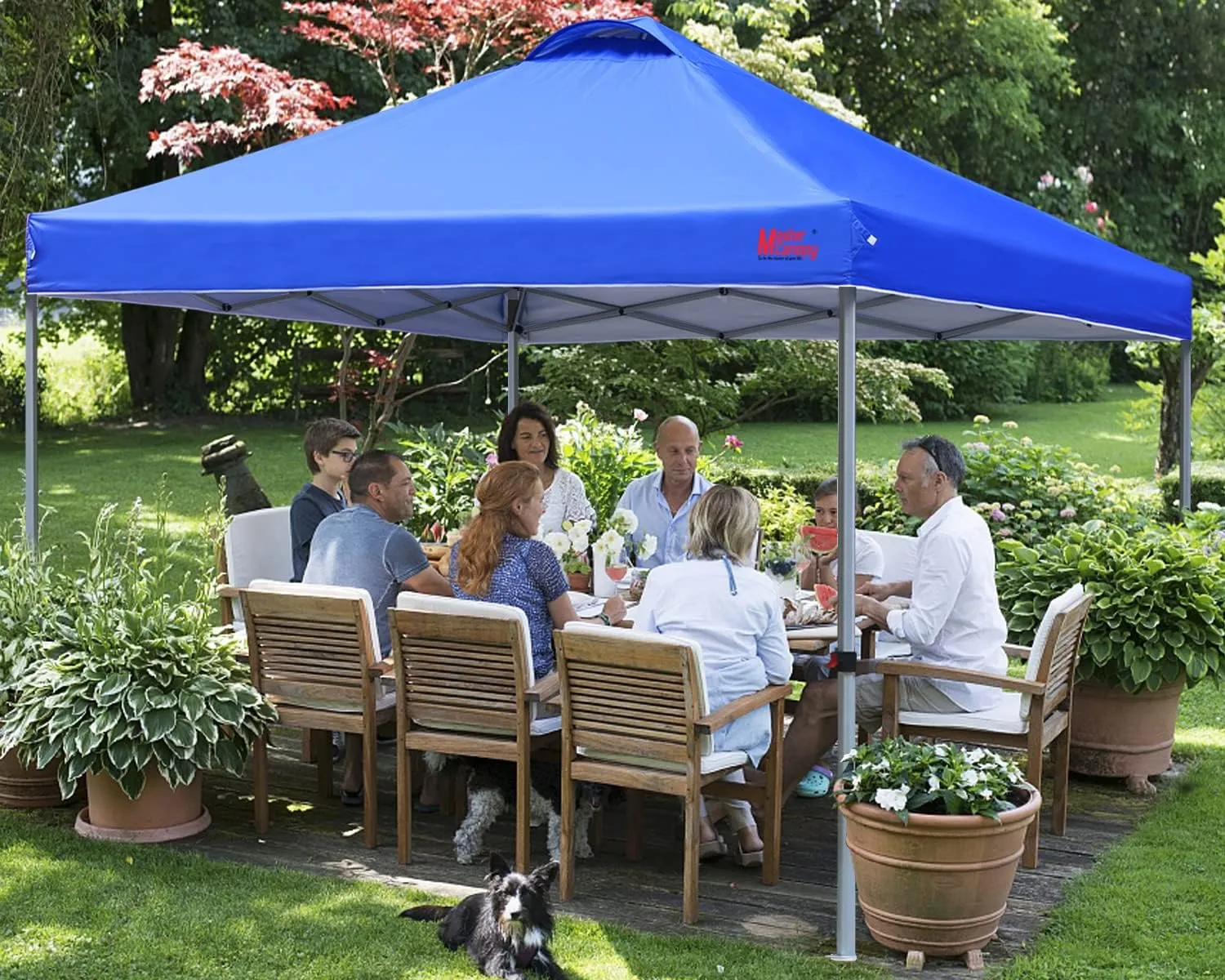 MASTERCANOPY Durable Pop-up Canopy Tent with Roller Bag (10x10, Blue)