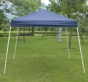 Outsunny Slant Leg Easy Pop-Up Canopy Party Tent, 10 x 10-Feet, Blue