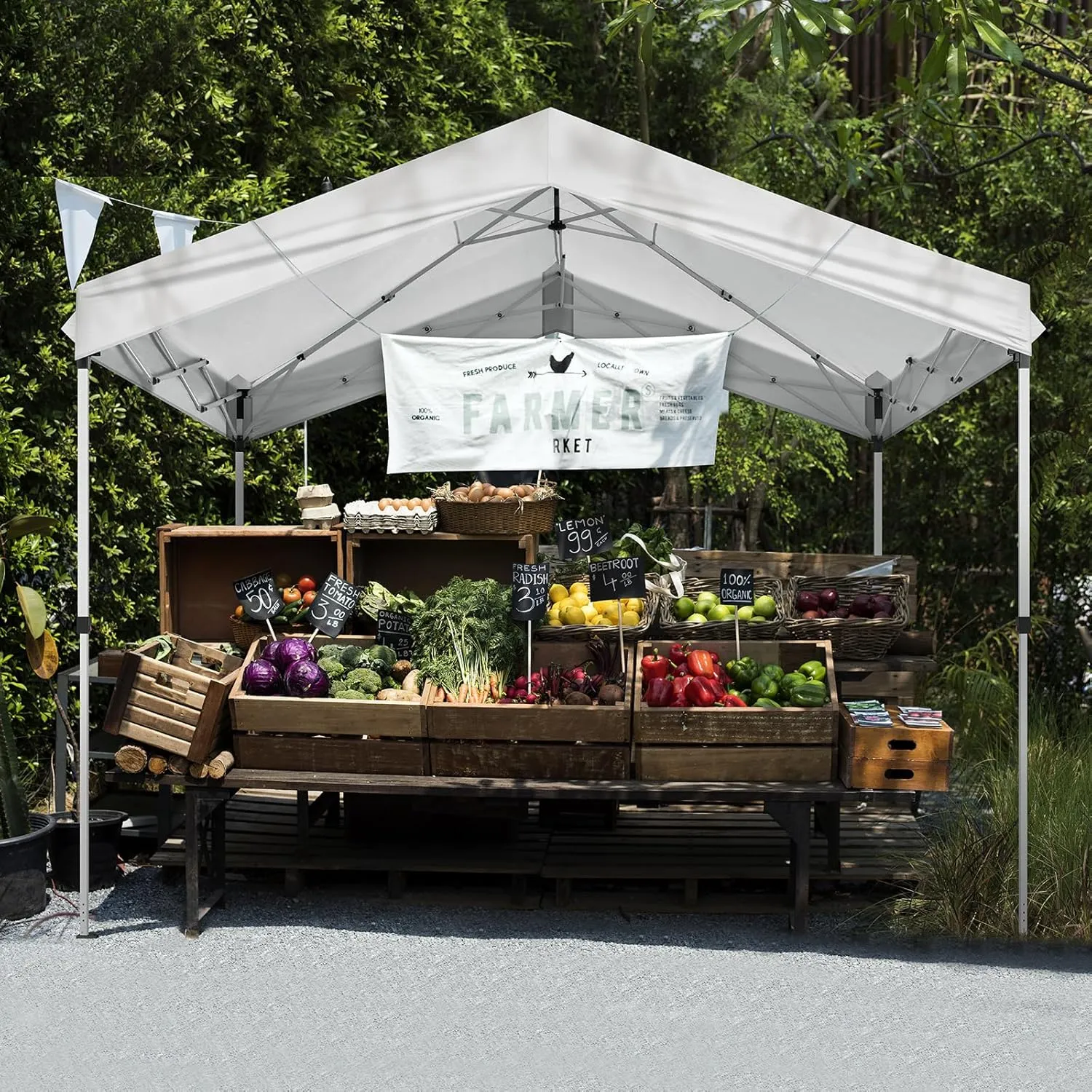 Outvita 10x10ft Instant Pop-Up Outdoor Canopy Tent, Portable Commercial Party with One Button Push Center Lock for Wedding, Birthday & BBQ Event Shelter with Convenient Carry Bag