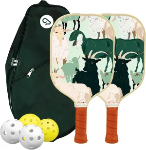 Pickleball Paddles Set of 2, 2 Indoor   2 Outdoor Balls & Travel Bag – Lightweight, Durable, Easy Grip – All-in-One Starter Set