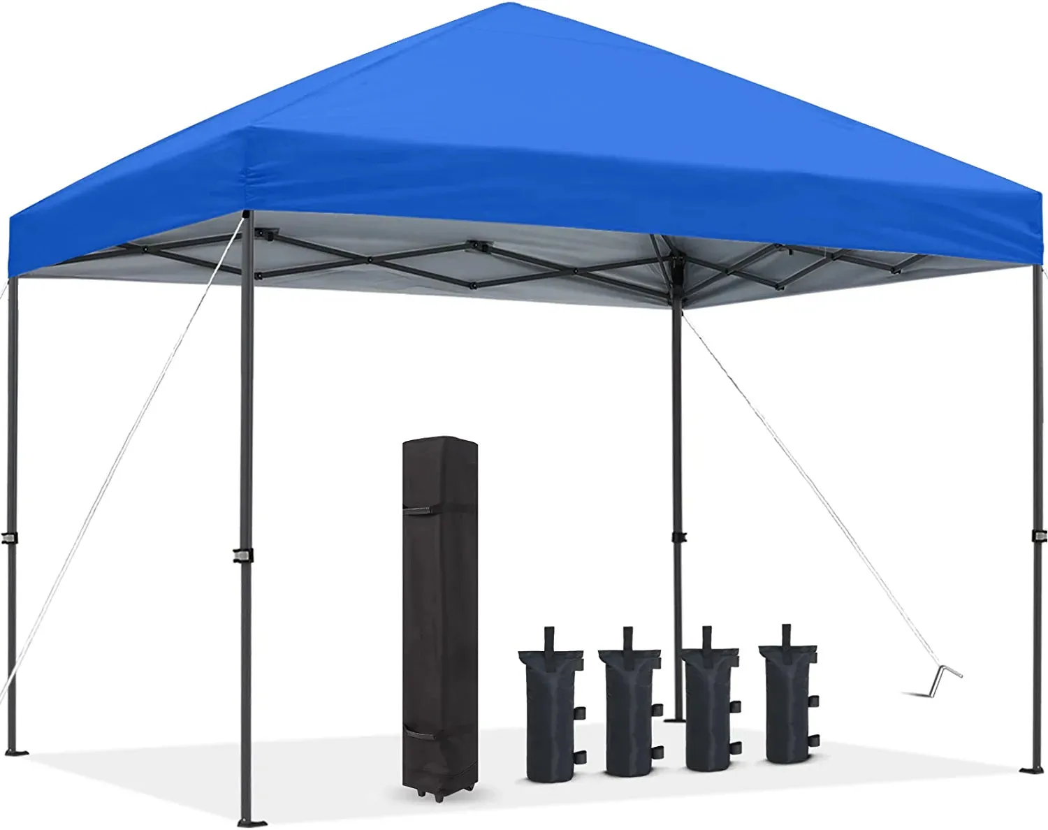 Pop Up Canopy 10x10 Commercial Instant Shelter Outdoor Canopy Tent(Royal Blue)
