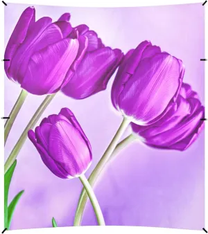 Purple Tulips Light Purple Vibrant Beach Canopy Tent Outdoor Sun Shade Patio Aesthetic Camping Sun Shelter 9.2 × 10.5 FT Windproof with Sand Anchor Poles