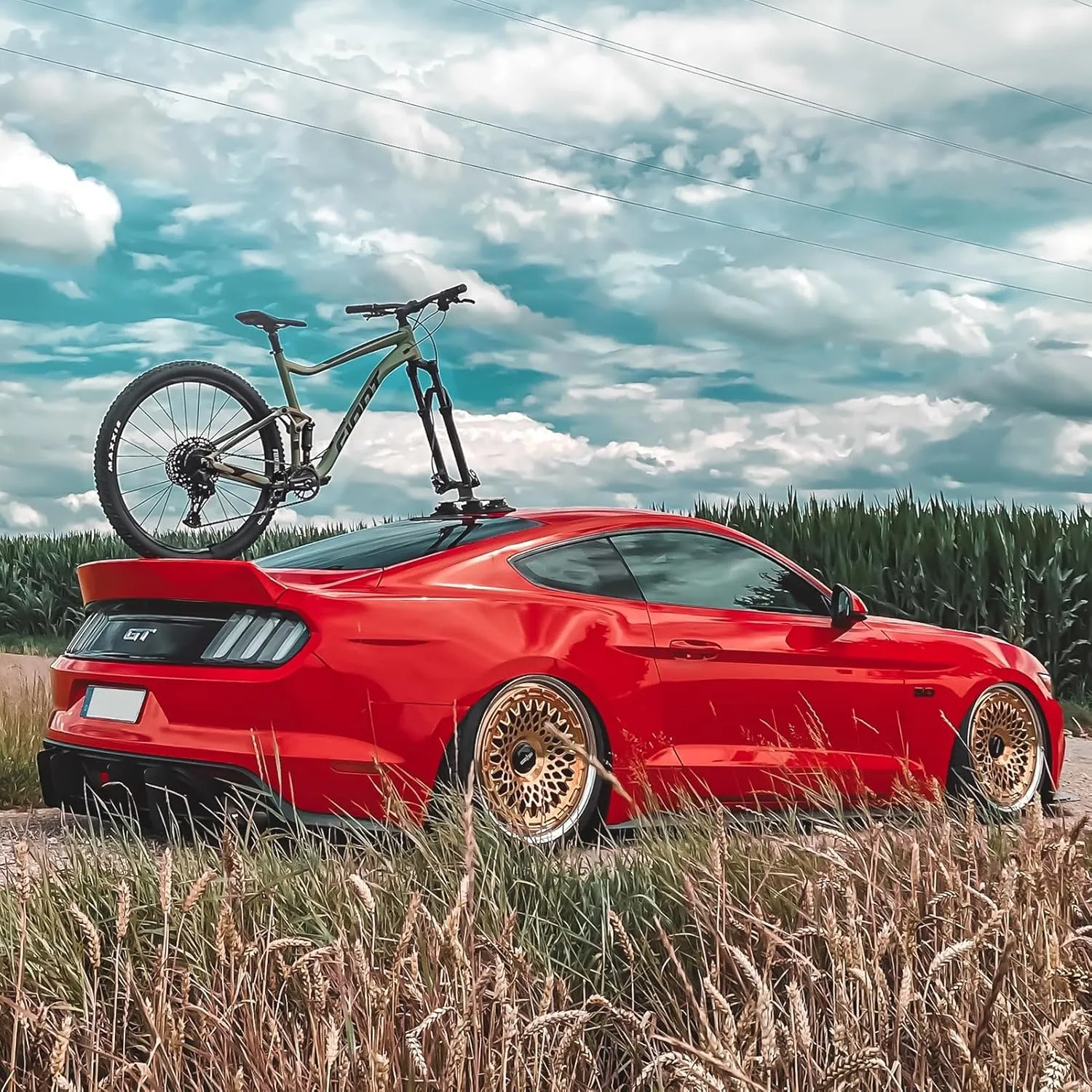 ROCKBROS Suction Cup Bike Rack for Car Roof Top Sucker Bike Rack Quick Release Aluminium Alloy Bike Carrier with Sucker for 1 Bike