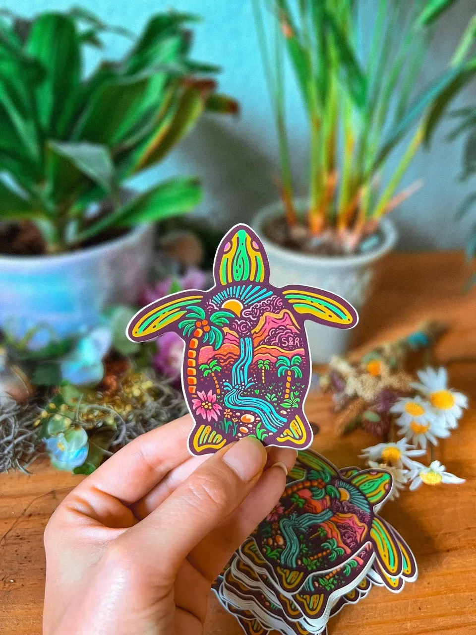 Turtle
