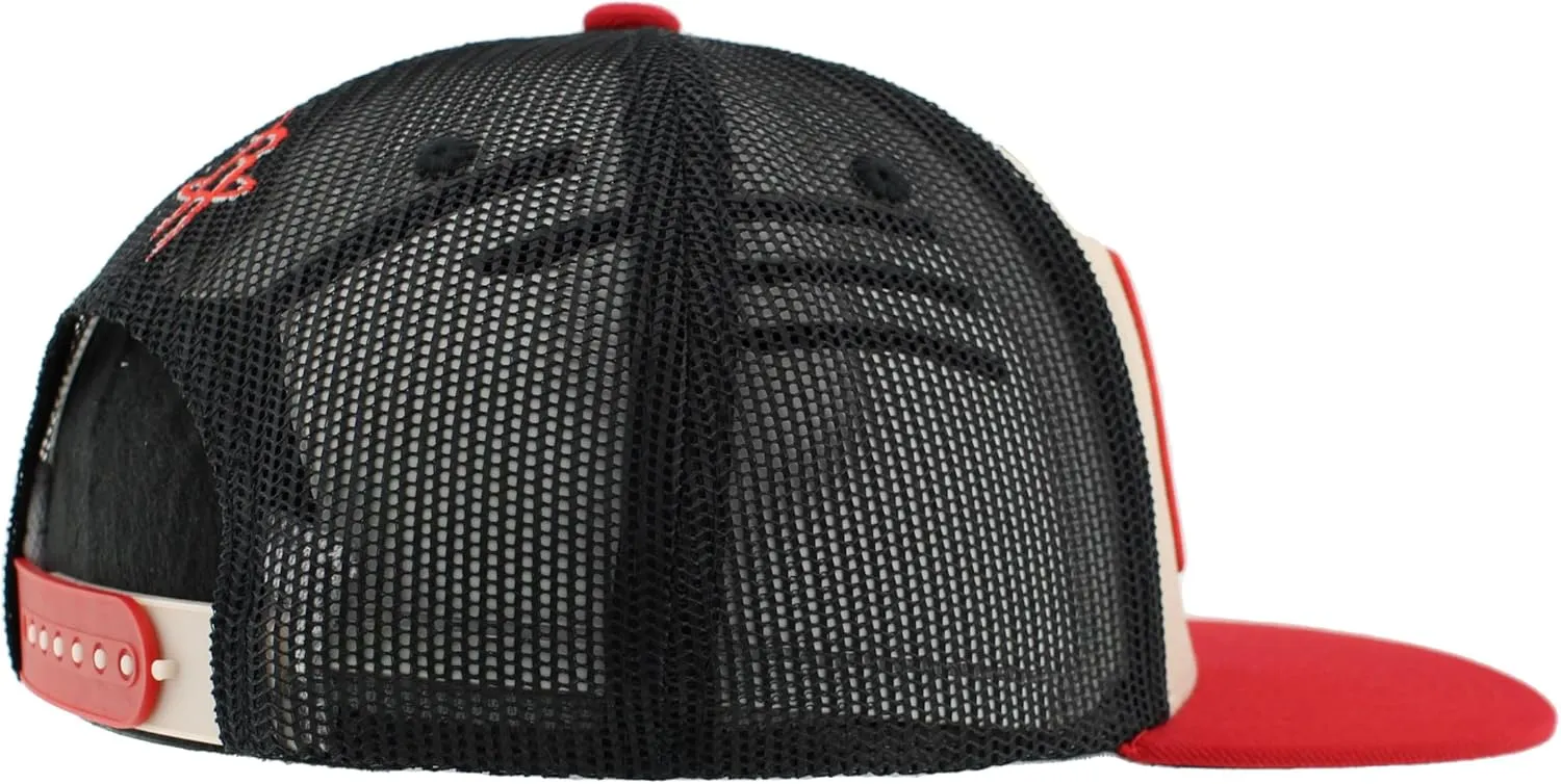 ZHATS NBA Officially Licensed Adjustable Snapback Hat Paradigm